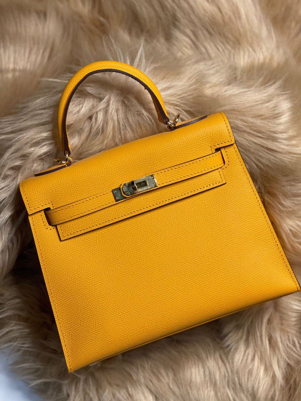 HERMES (3 Color)