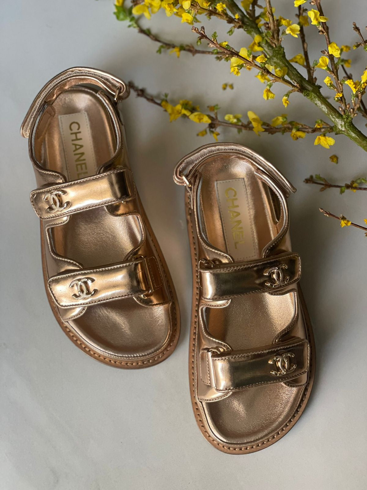 CHANEL